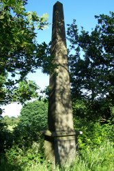 Type 4c obelisk at Potters Bar (no 31)