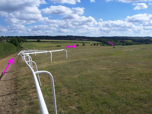 Bridlepath across downs
