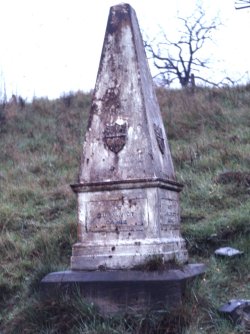 Type 5 obelisk