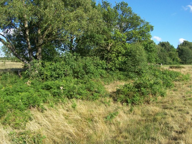 Post No 144a and Post 145