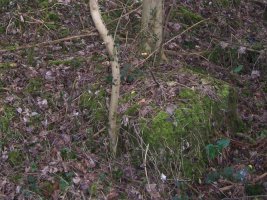 Plinth of obelisk No 173