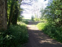 Site of Post No 185a