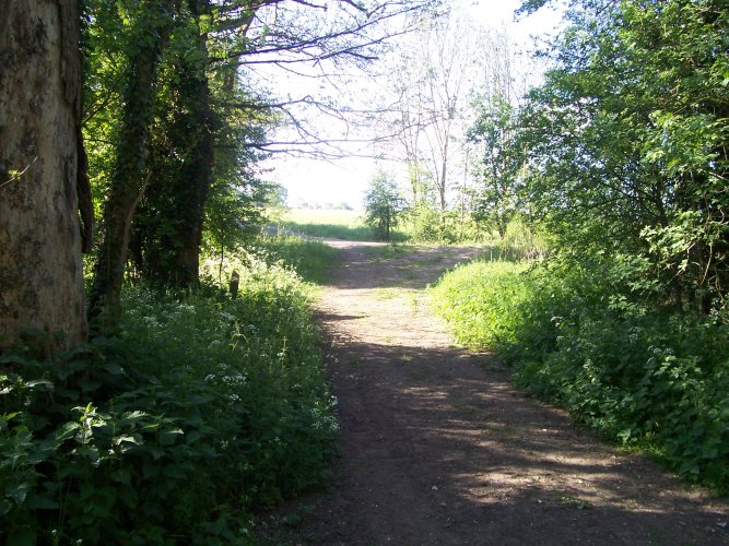 Site of Post No 185a